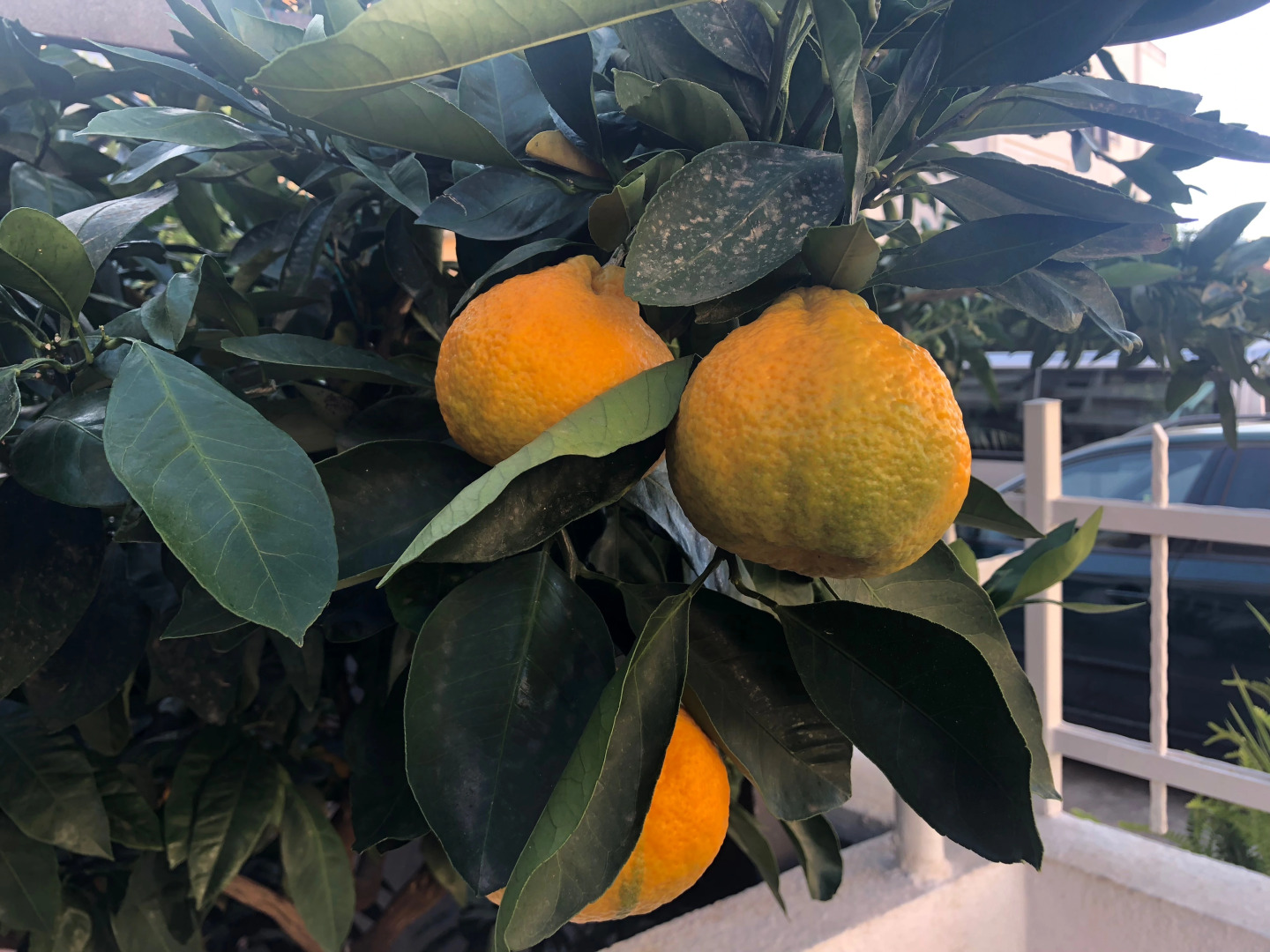 Гостевой Дом Malina