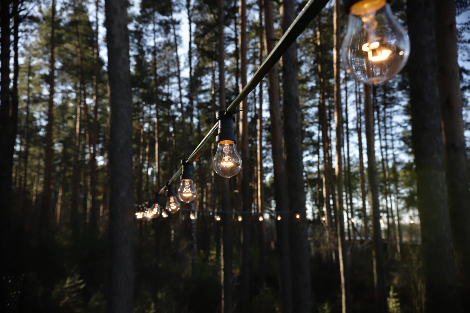 Гостевой дом Дом у леса