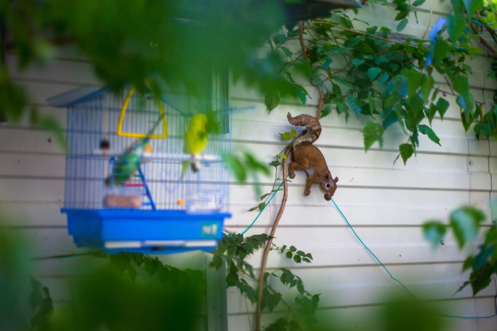 Гостевой Дом Аква-Солярис