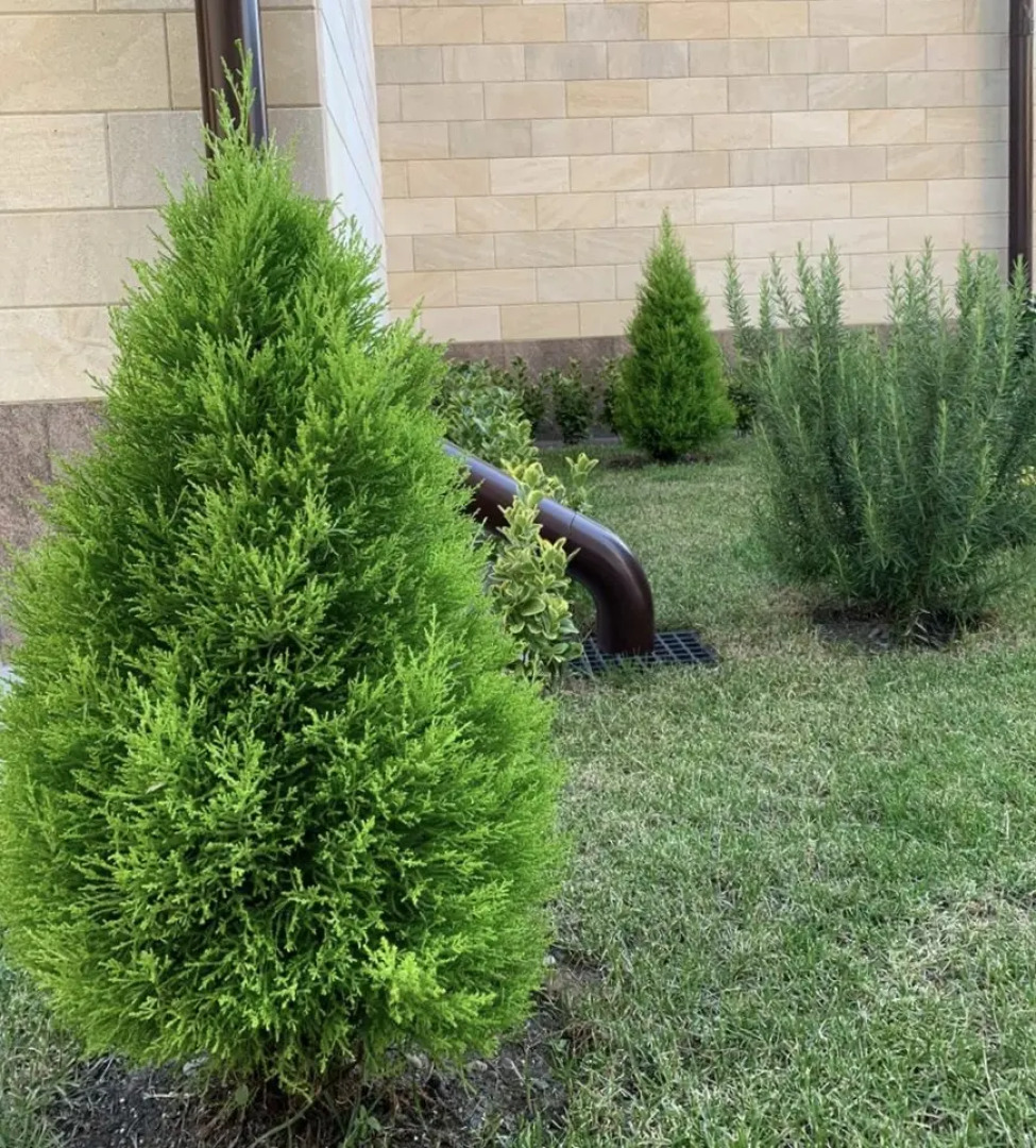 Гостевой дом Солнечный город