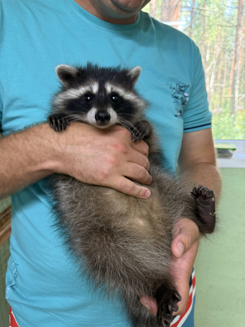 Глэмпинг Мыс