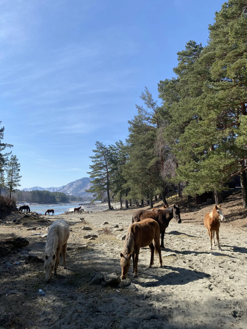 База отдыха Zawada