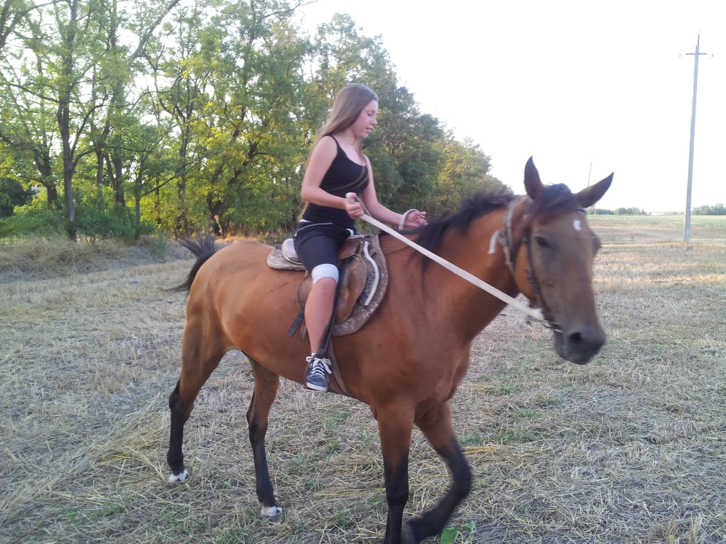 Мини-отель Мартынова