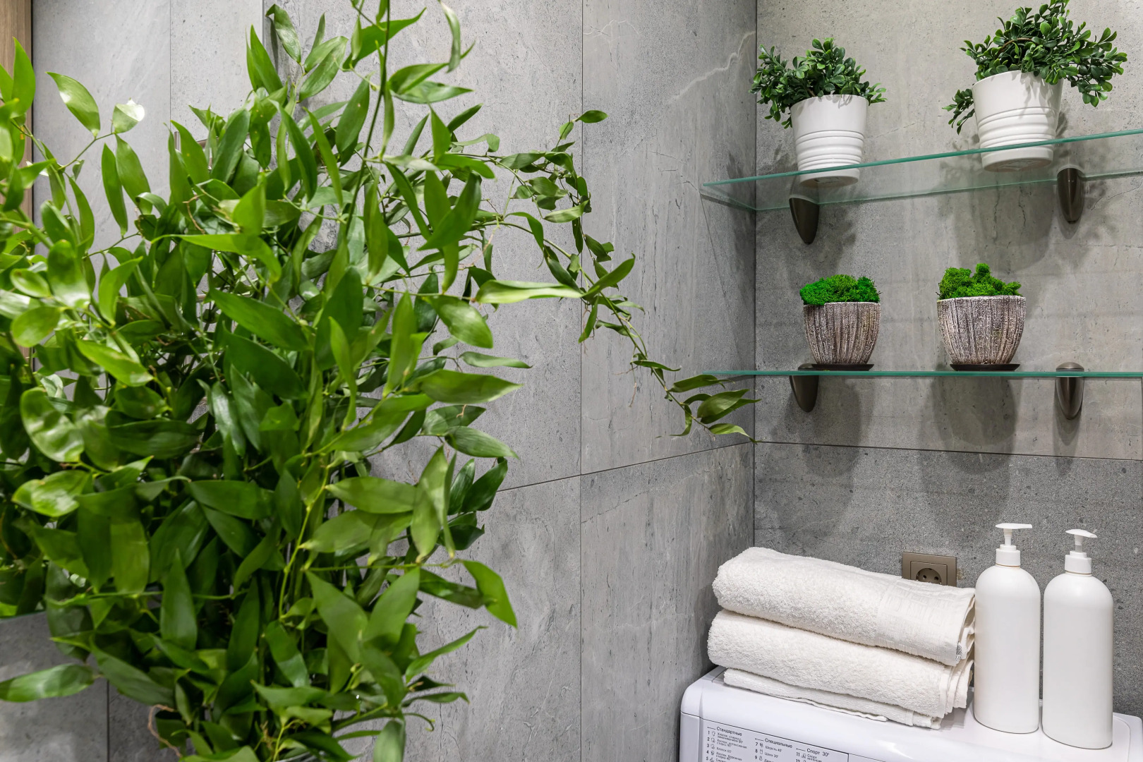 Апартаменты LS Savin House