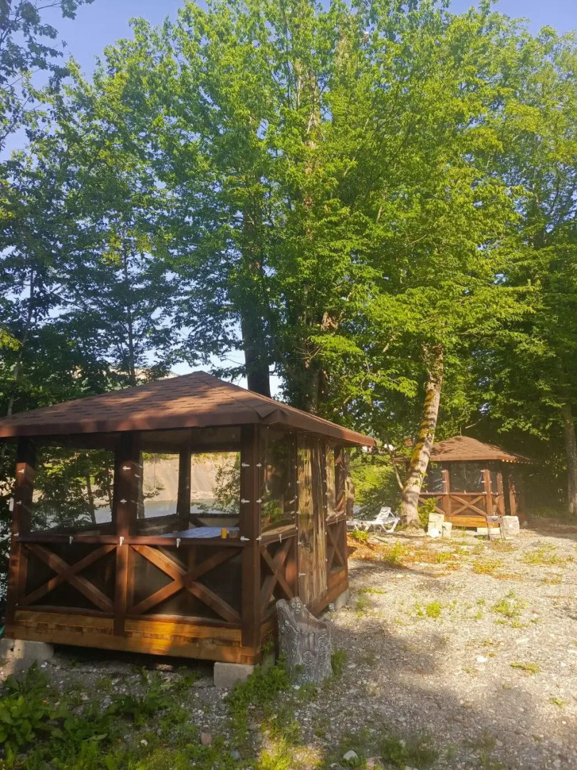 Отель Каштан