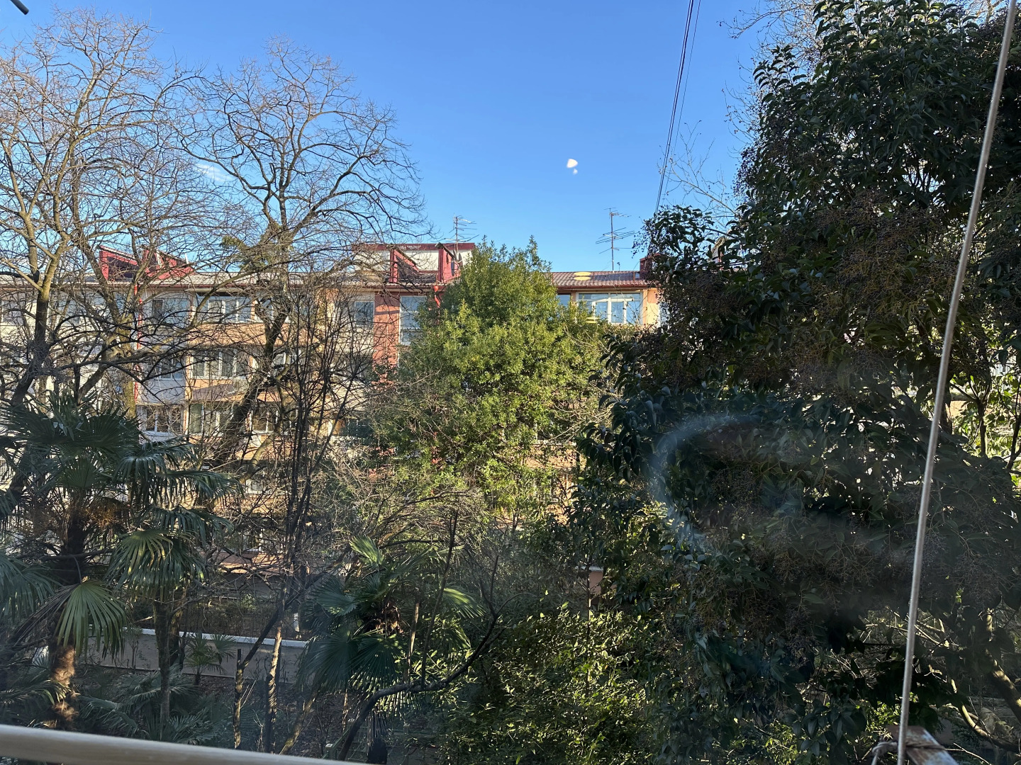 Квартира Цвет Моря Улица Роз 2-Комнатная