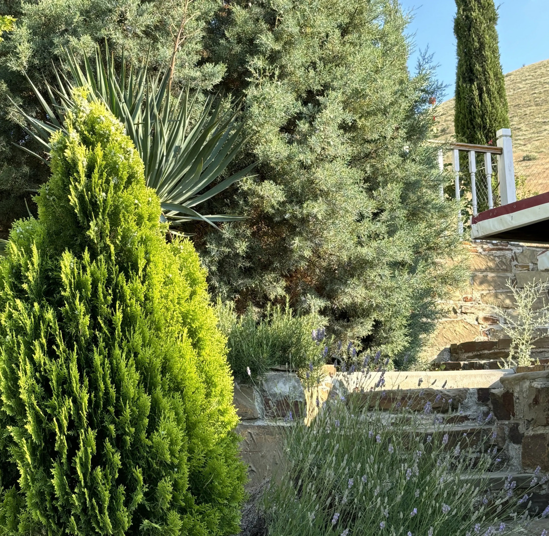 Гостевой дом Кипарис