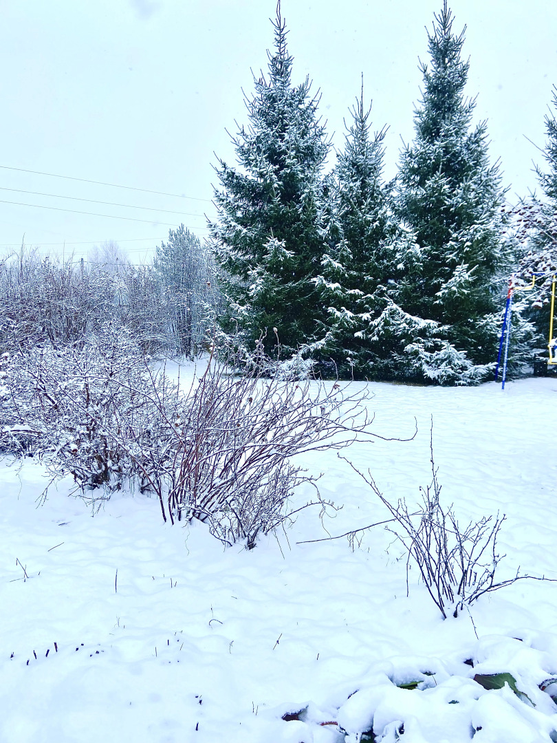 Частный Дом Гостевой Дом Pine Housе