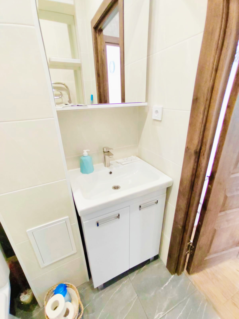 Квартира Большая однокомнатная Ботаника