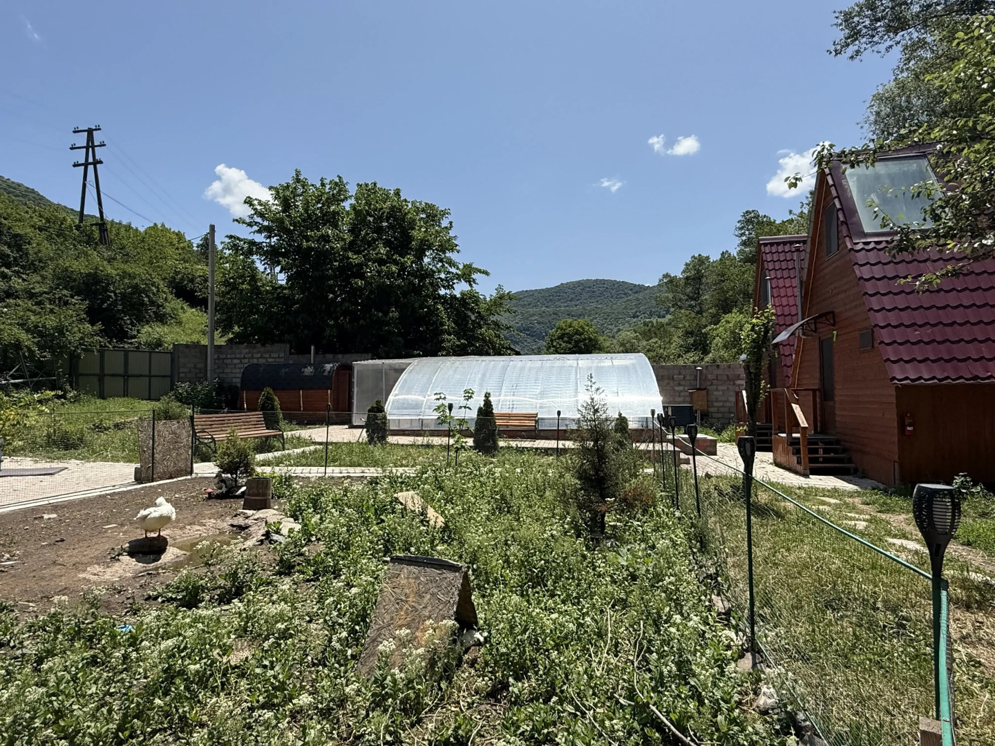 Курортный отель Qarup House