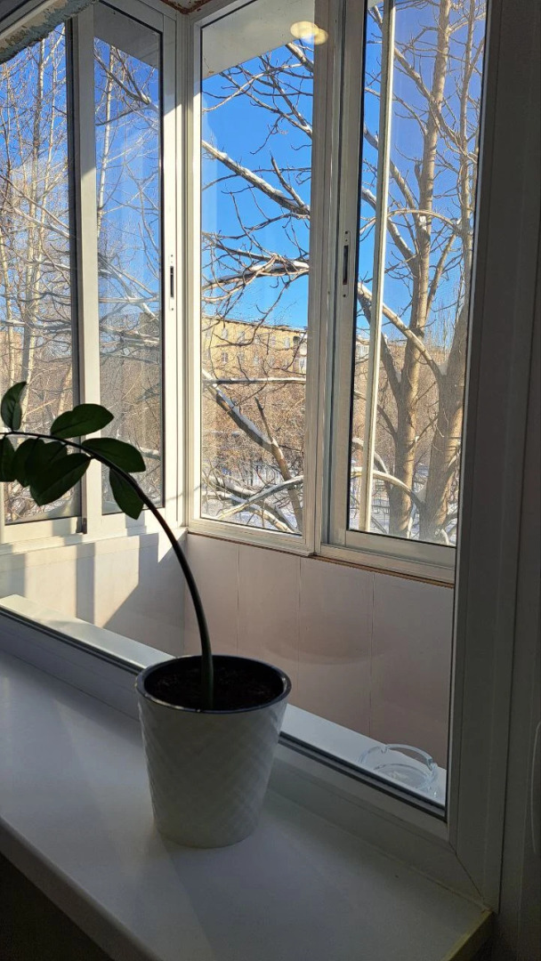 Квартира Уютная двушка пр. Ленина 121