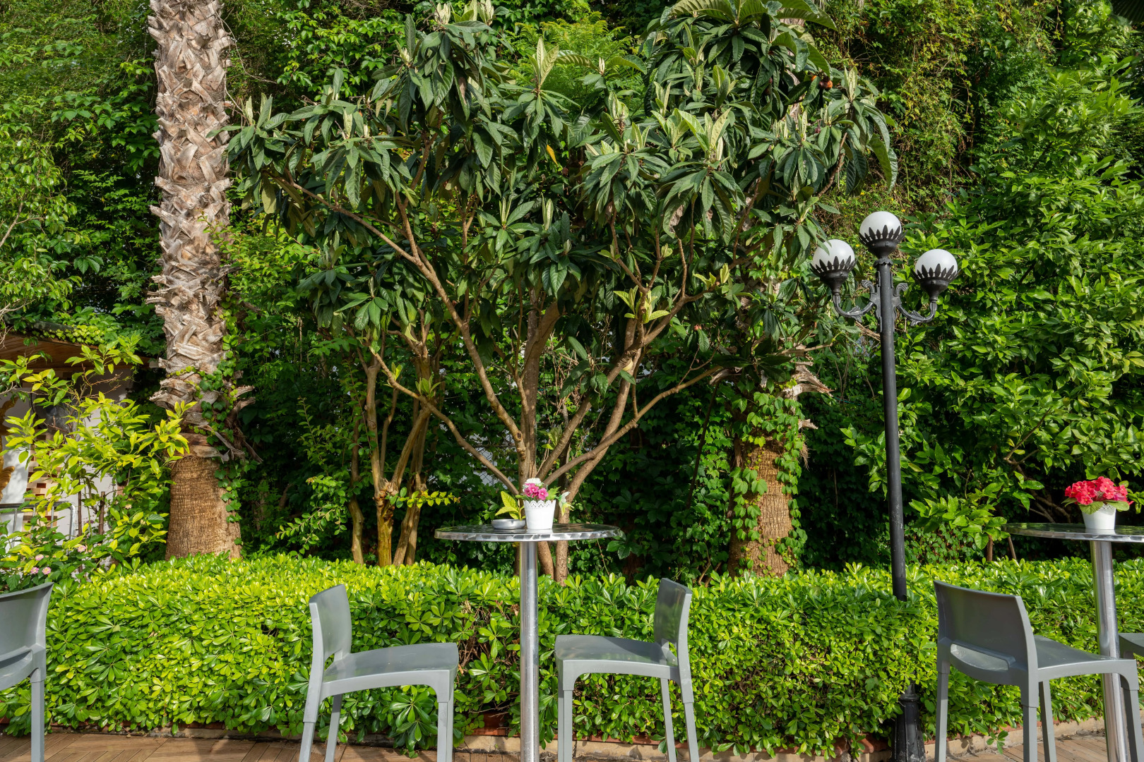 Hotel Grand Viking All Inclusive