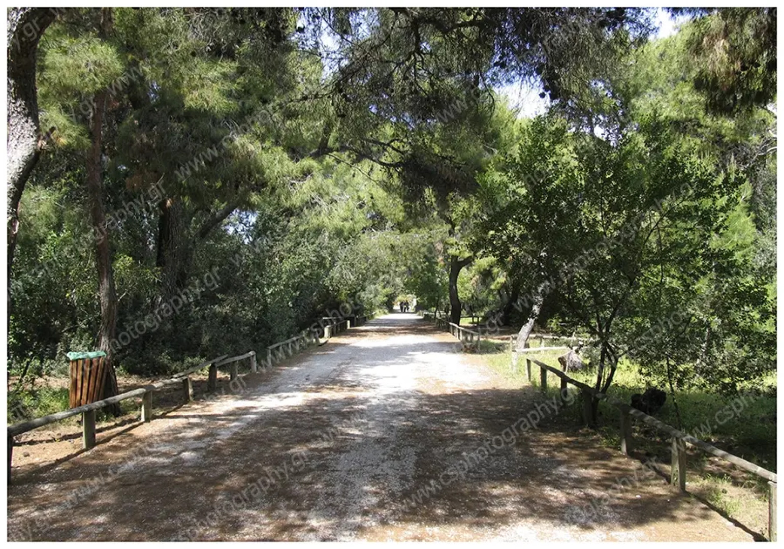 Апартаменты Sotiria Apartment