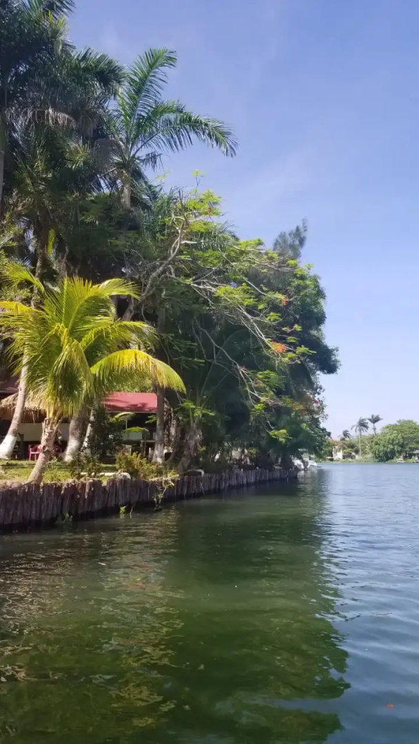Отель River Bend Resort Belize