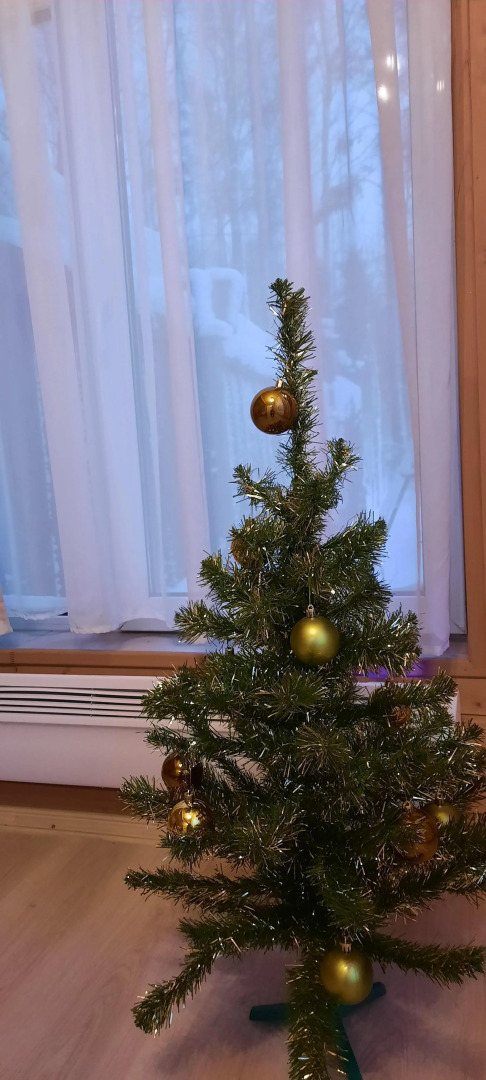 Частный дом в Вязах 1