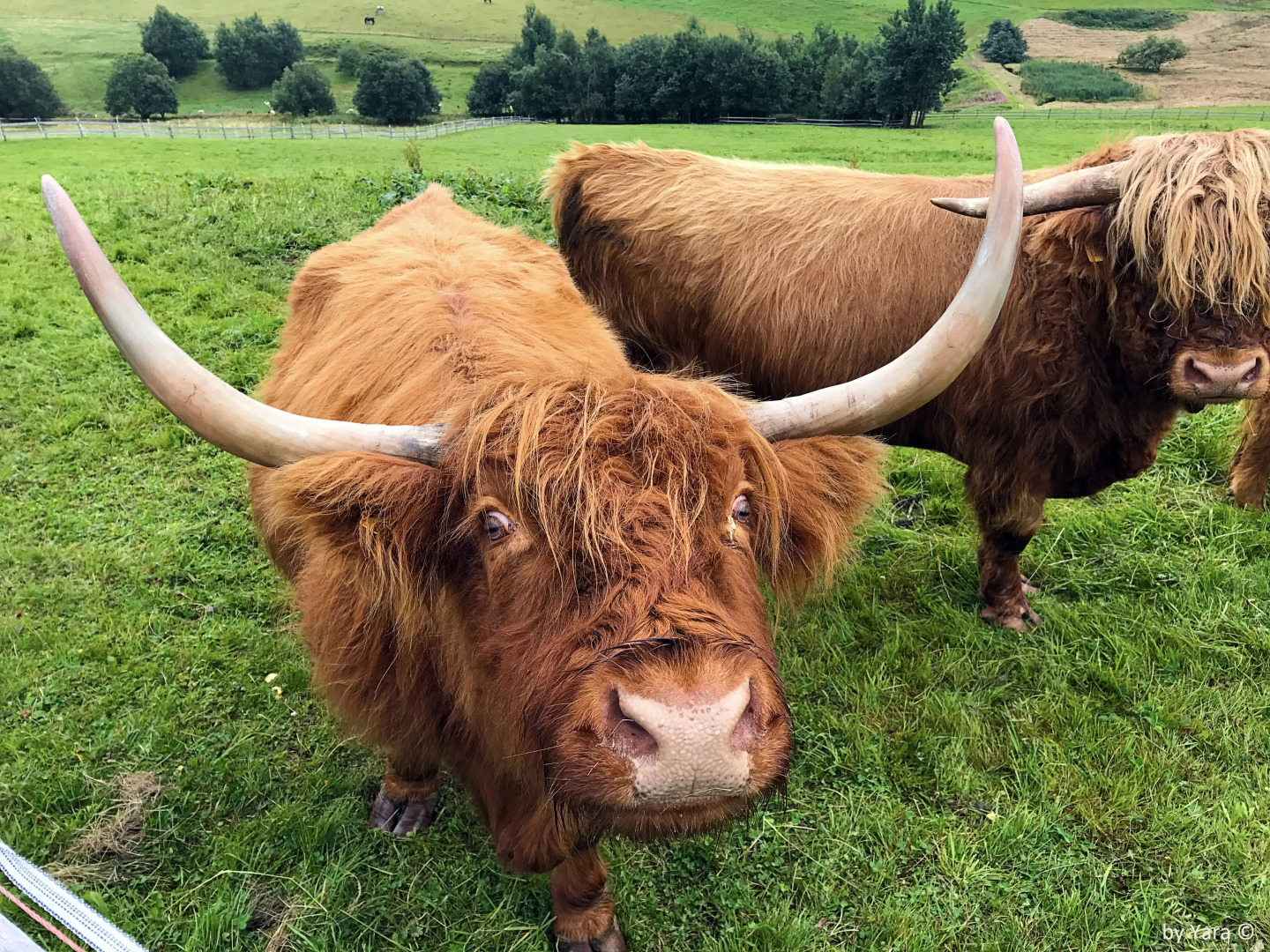 Апартаменты Fichtelbeger Blick