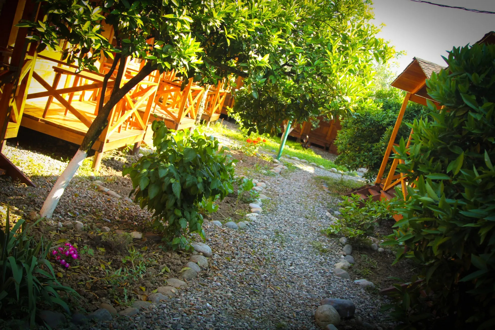 База отдыха Теремки