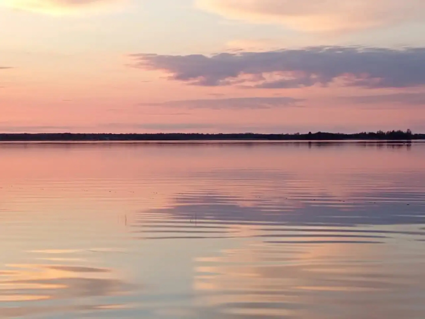 Гостевой дом "Загородный"