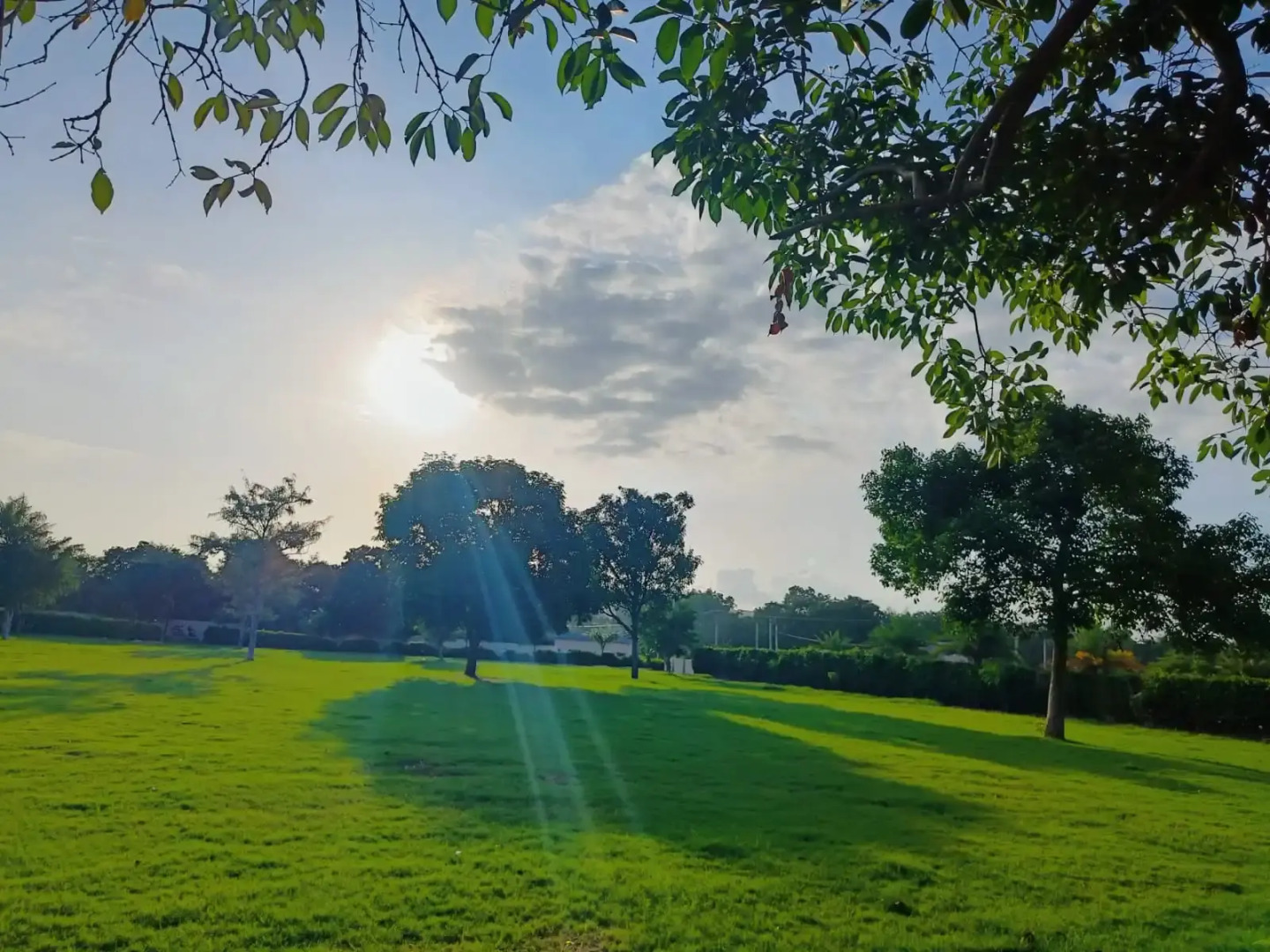 Отель Savitri Resorts Pushkar