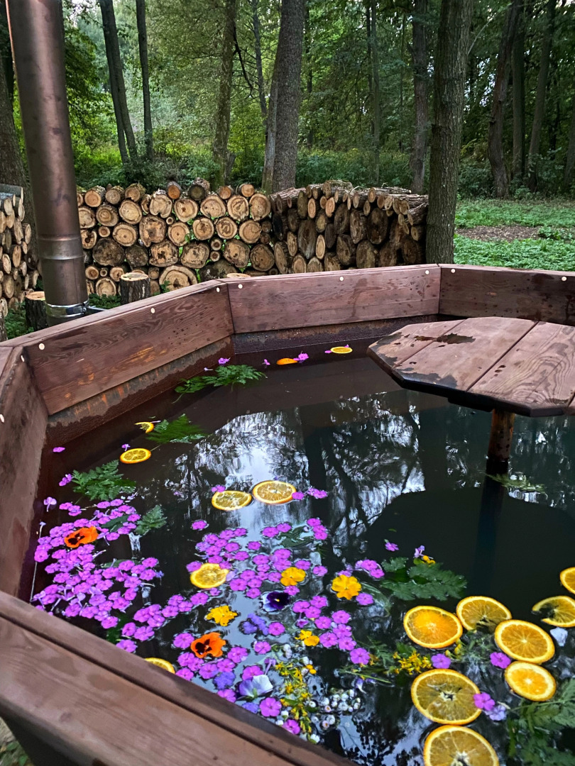 База Отдыха Эко-Клуб Голицыно