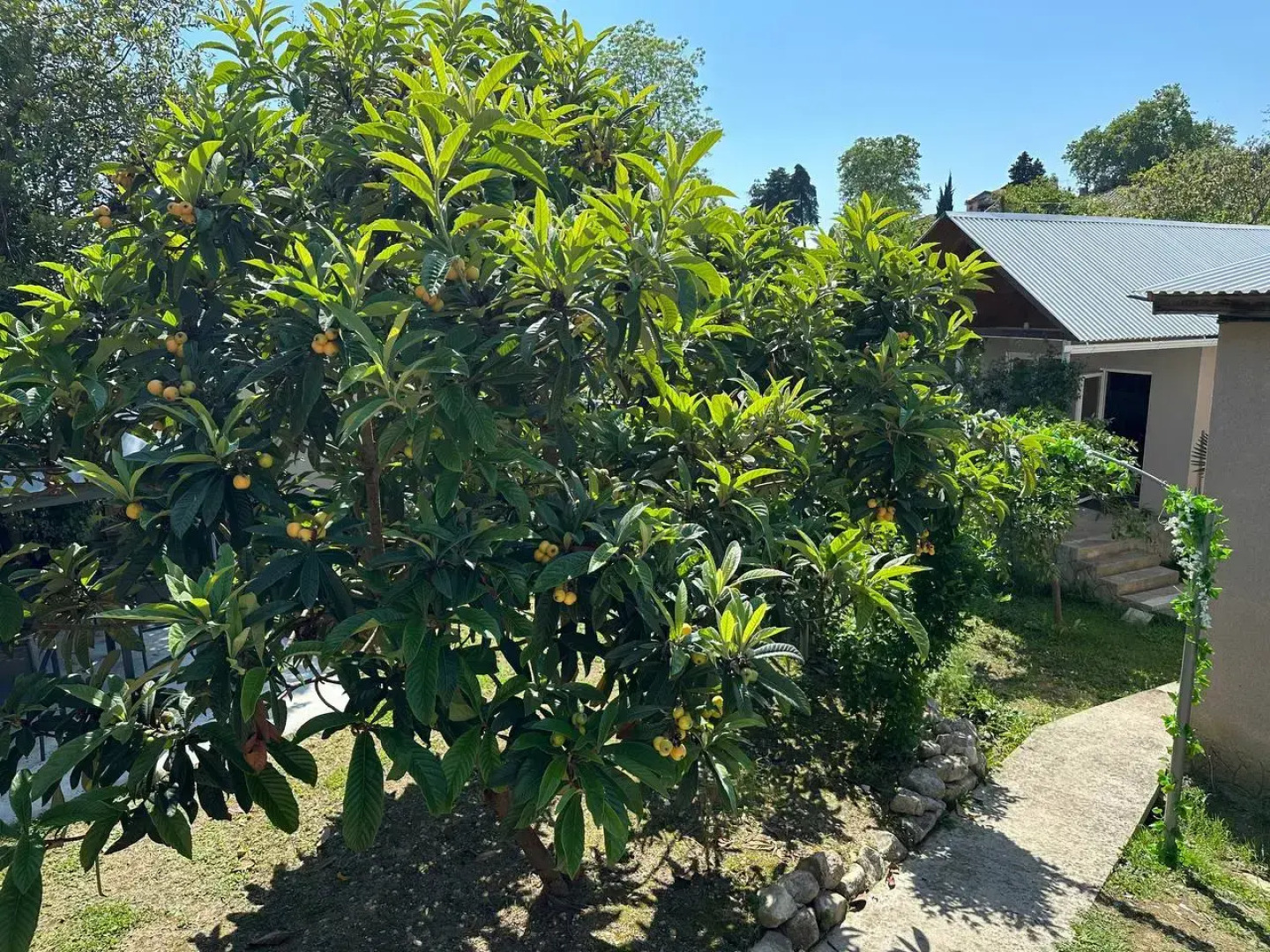 Гостевой дом Новый Афон