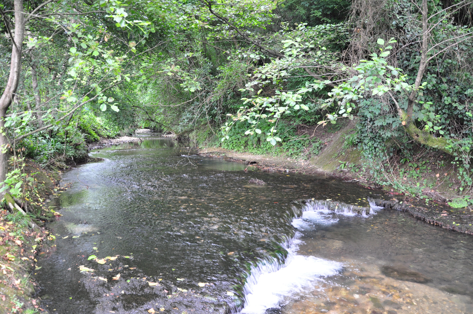 Апарт-отель Вилла Монте Гагра