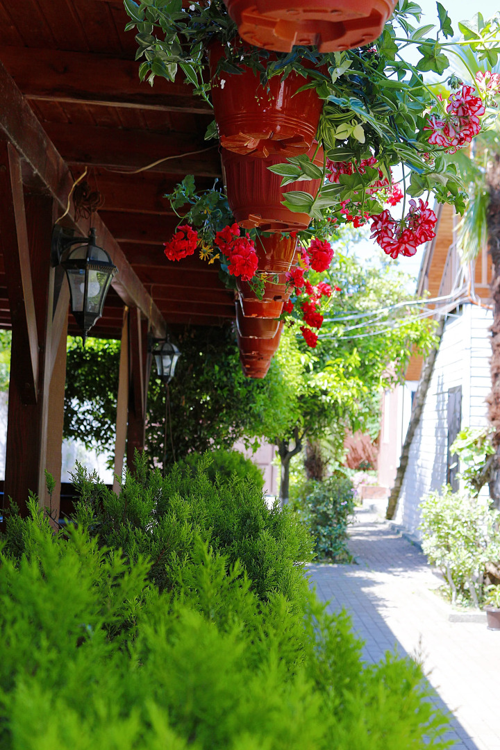 Гостевой дом Алашара