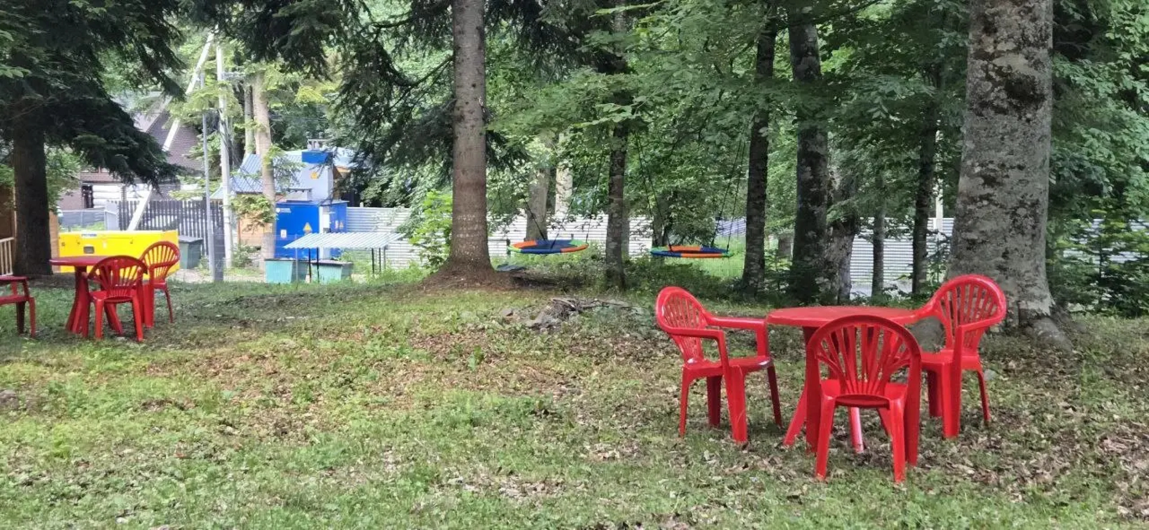 Горная Мята