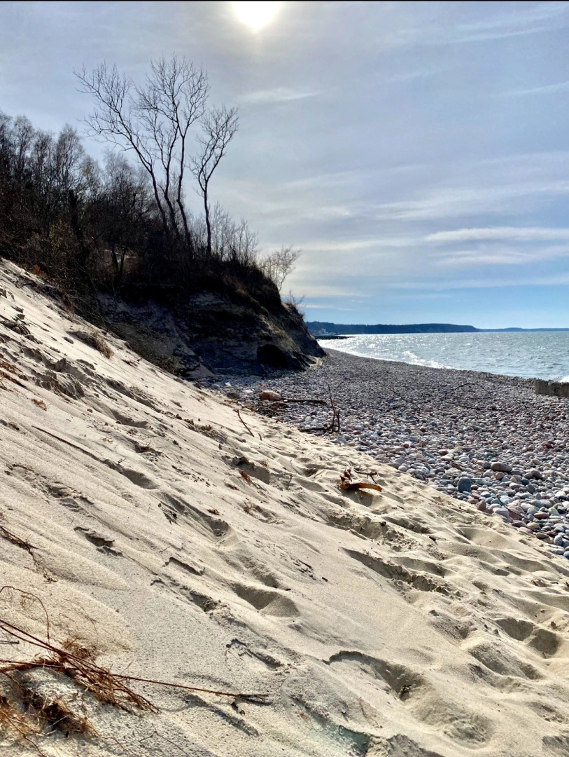 Апартаменты У моря