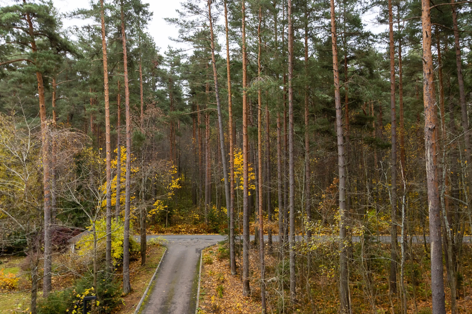 Квартира облако