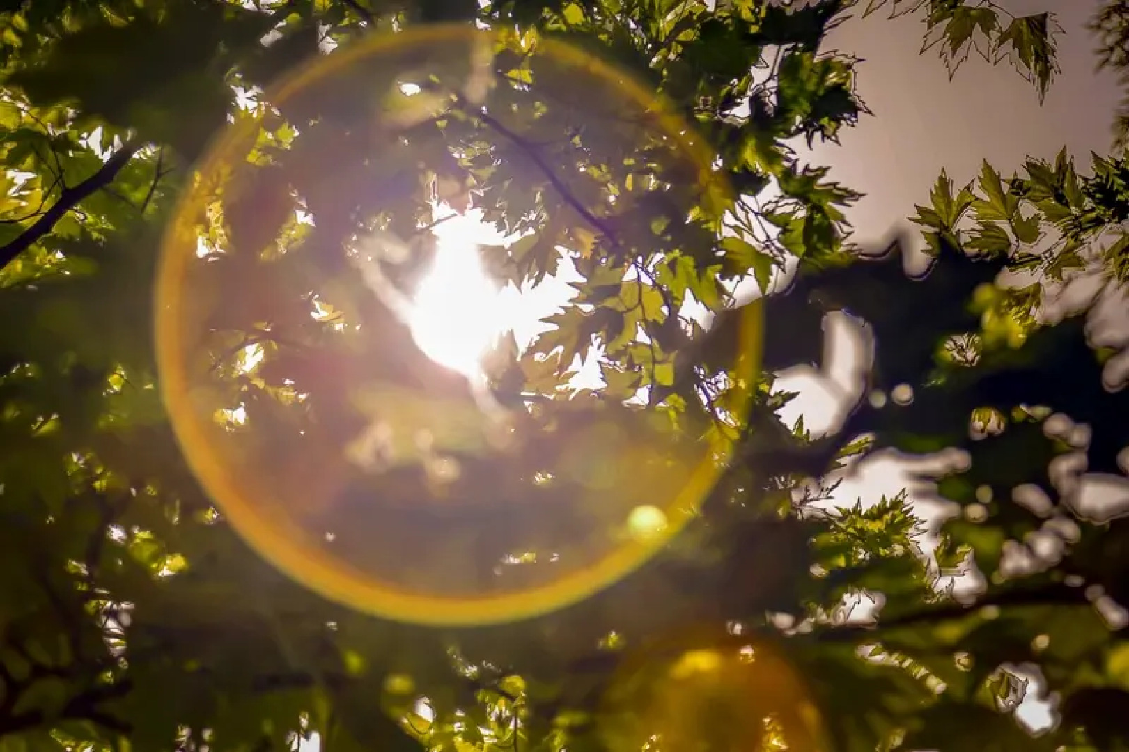 Istanbul Airport Durusu Club Hotel