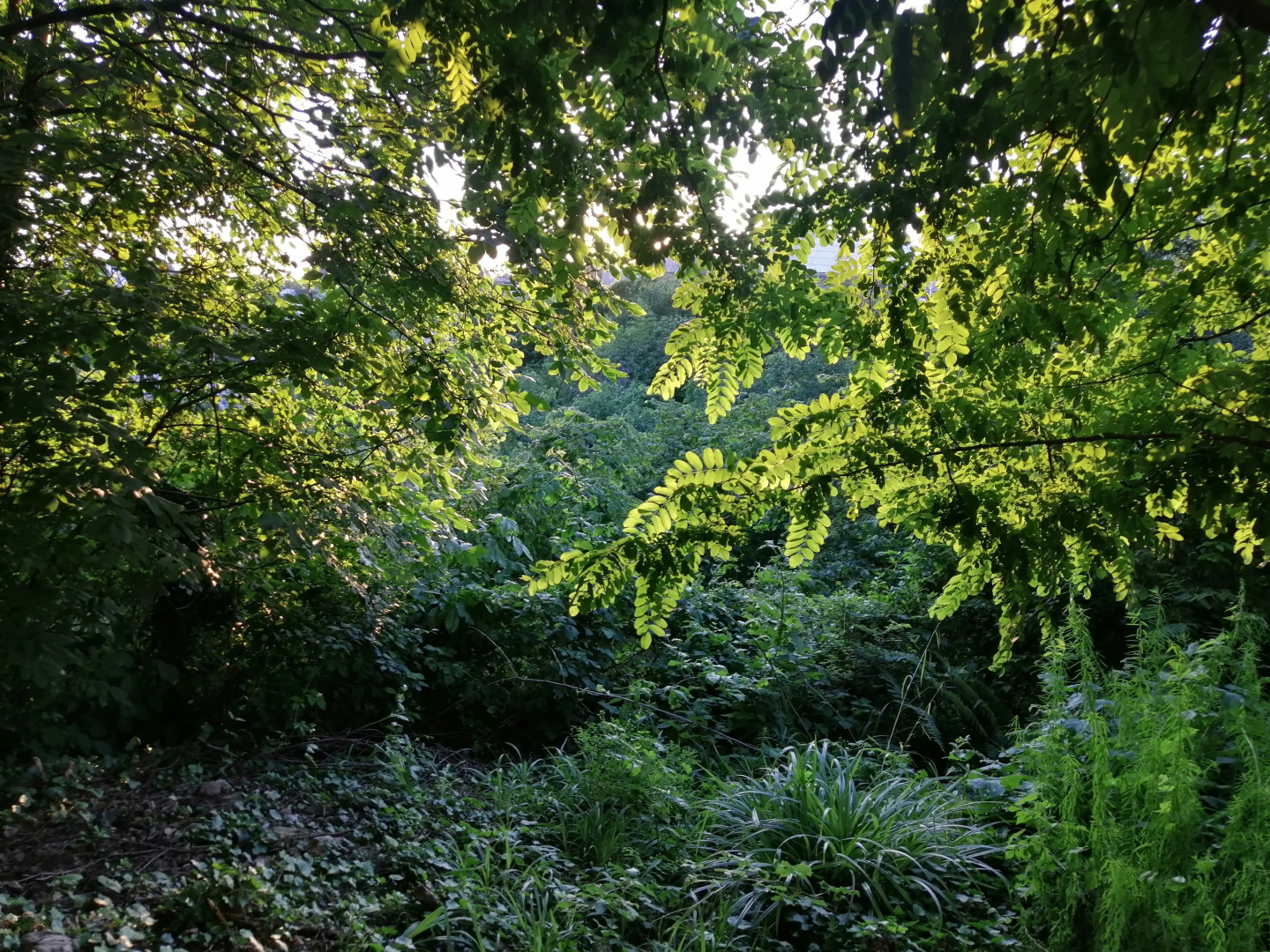 Гостевой дом Сола