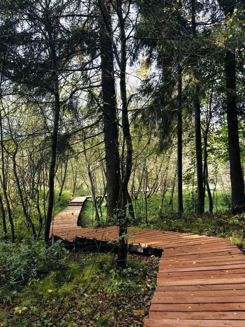 Шале Красный домик в лесу на Живописной улице