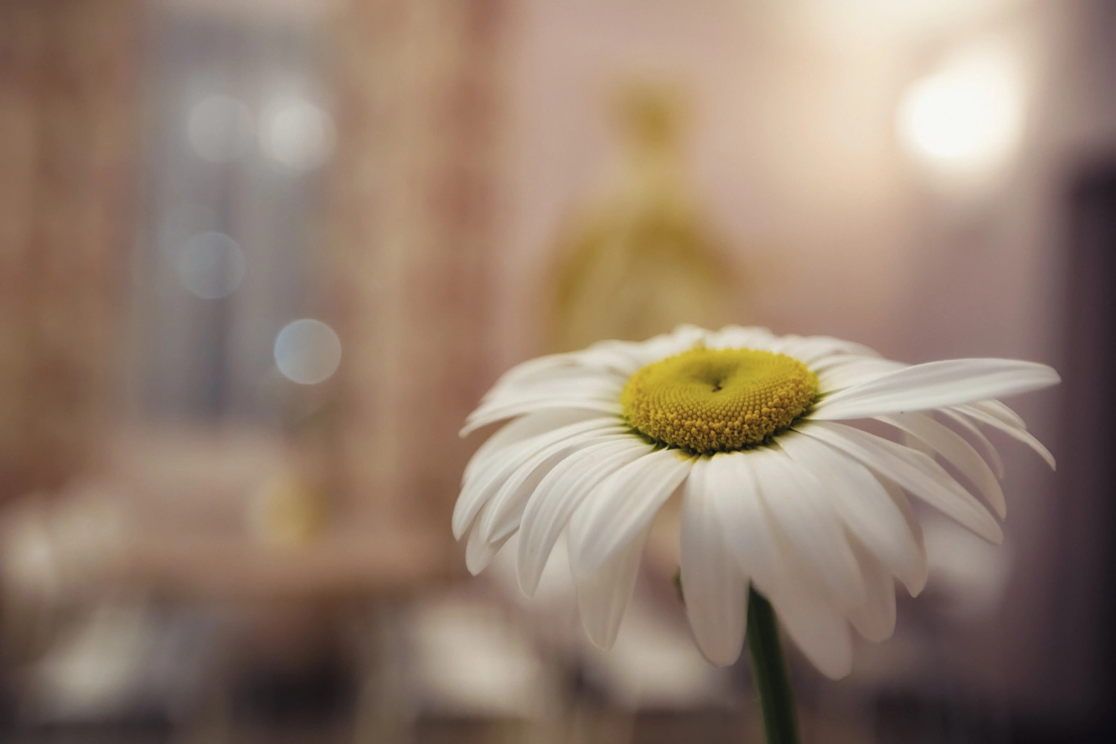 Гостевой дом Мелисса