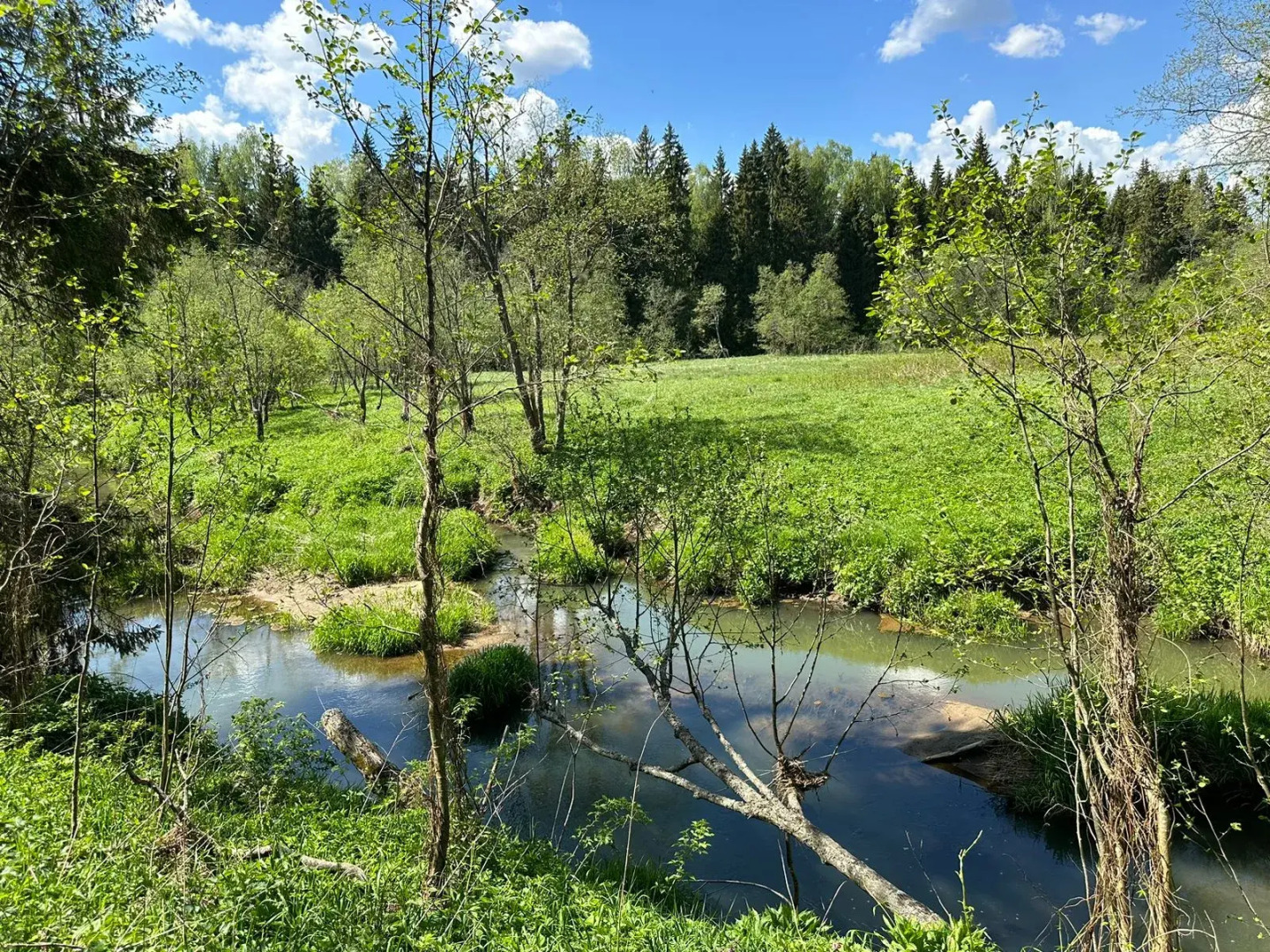 Шале Зеленый домик в лесу на Живописной улице