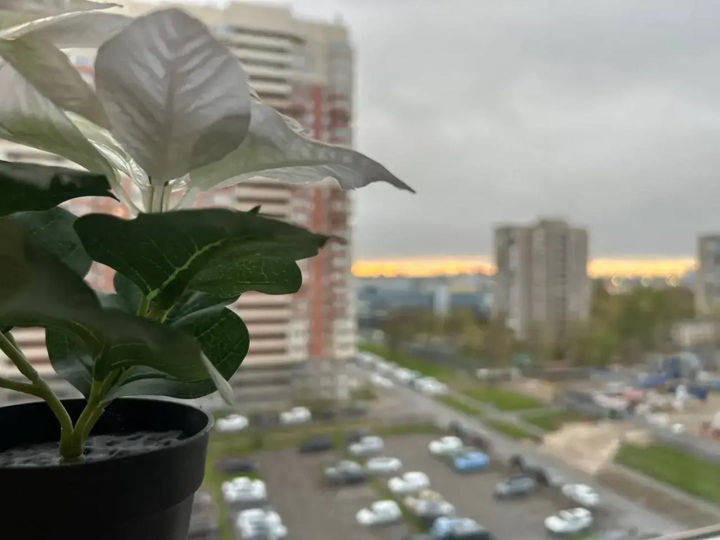 Квартира рядом с аэропортом