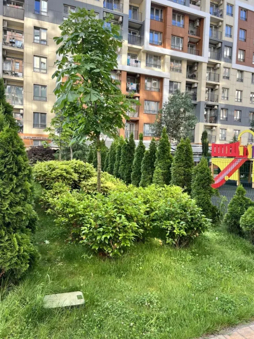 Апартаменты Каравелла Португалии