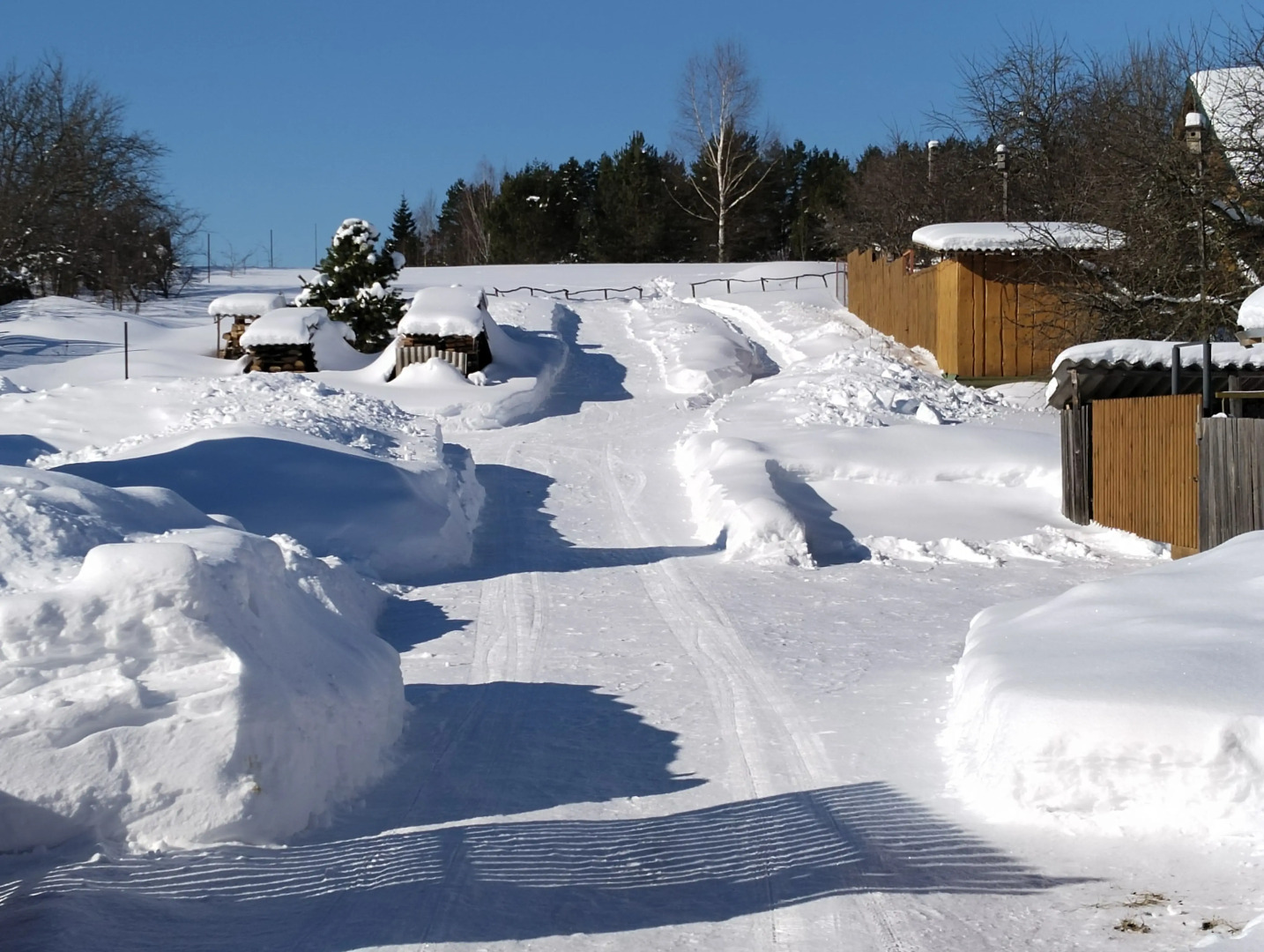 Частный дом в деревне