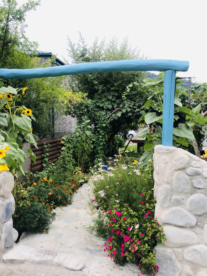 Guesthouse STAR Lagodekhi