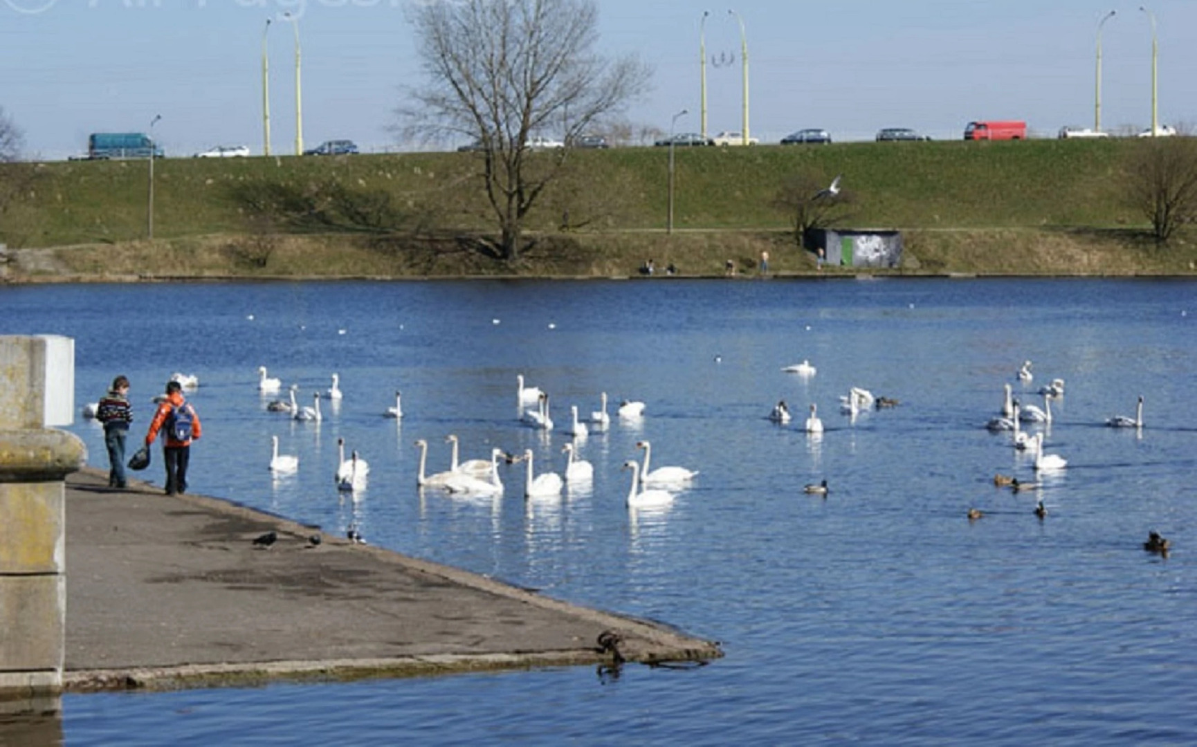 Апартаменты на Интернациональной