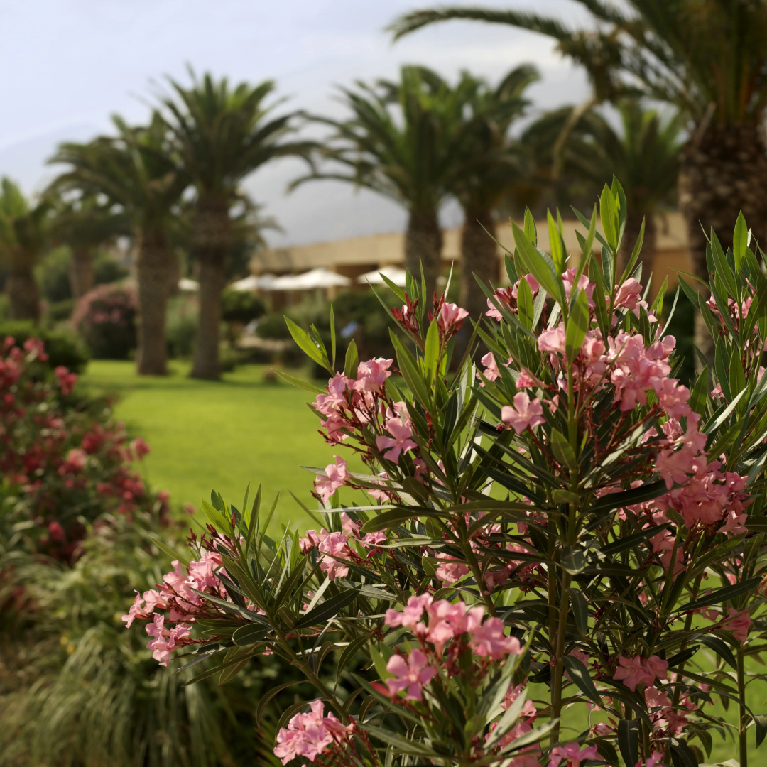 Отель Kernos Beach