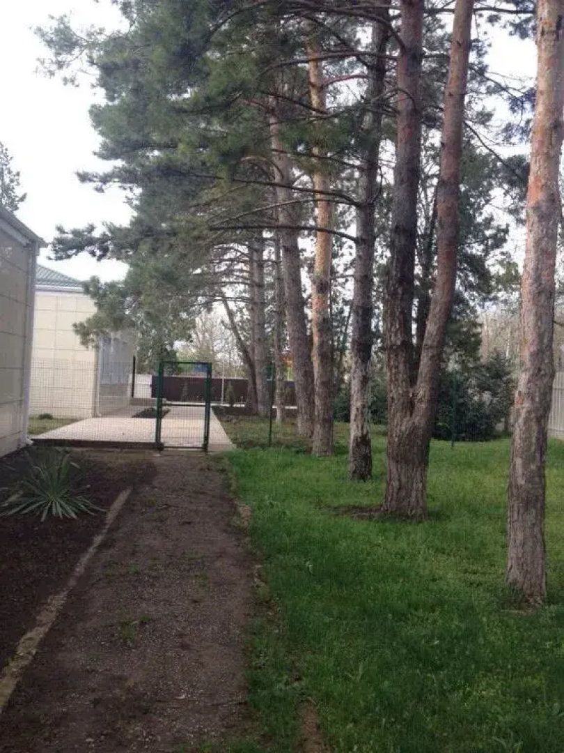 Ночлег и завтрак Гостиница Надежда