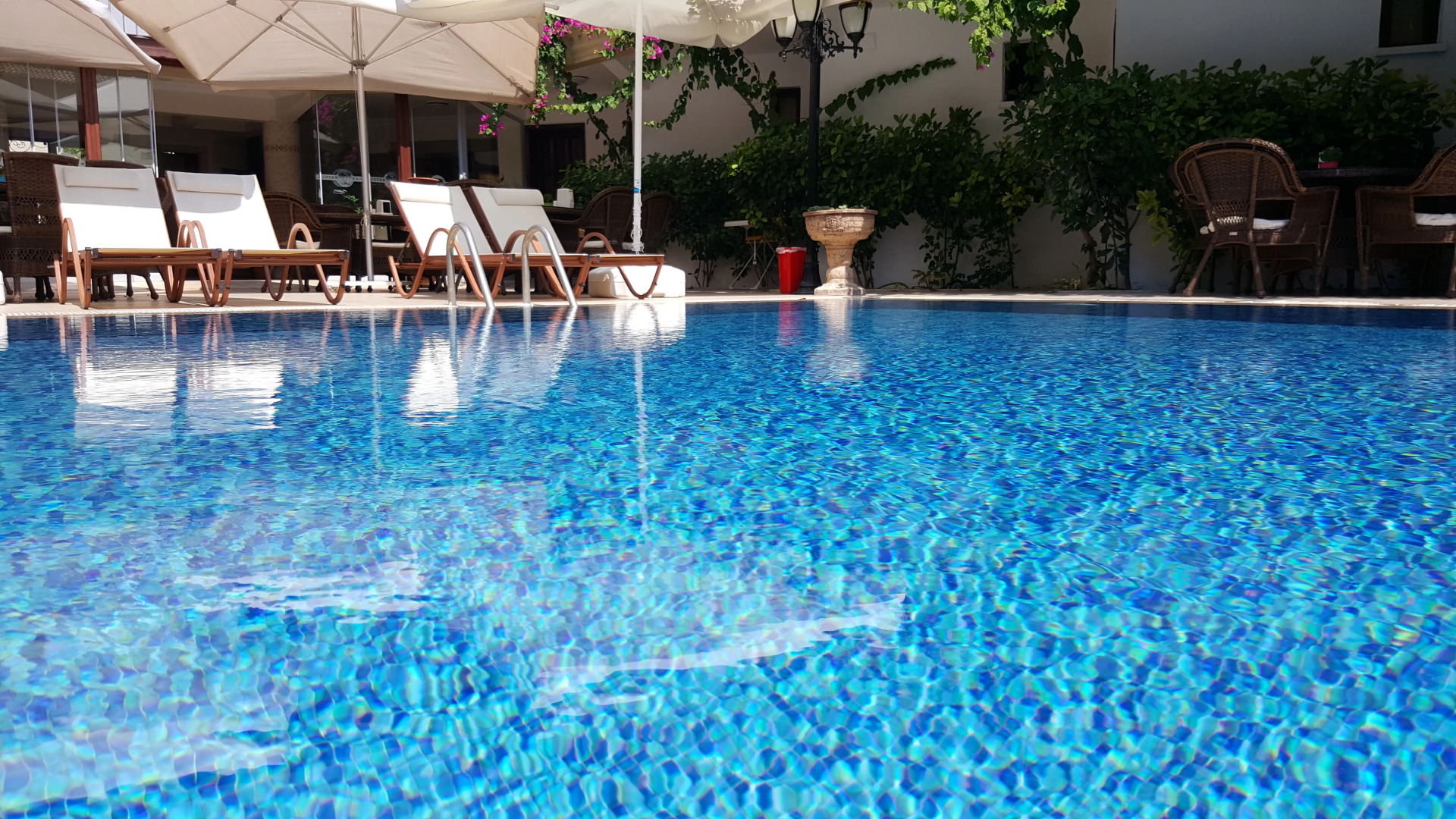 Отель Palme Royal