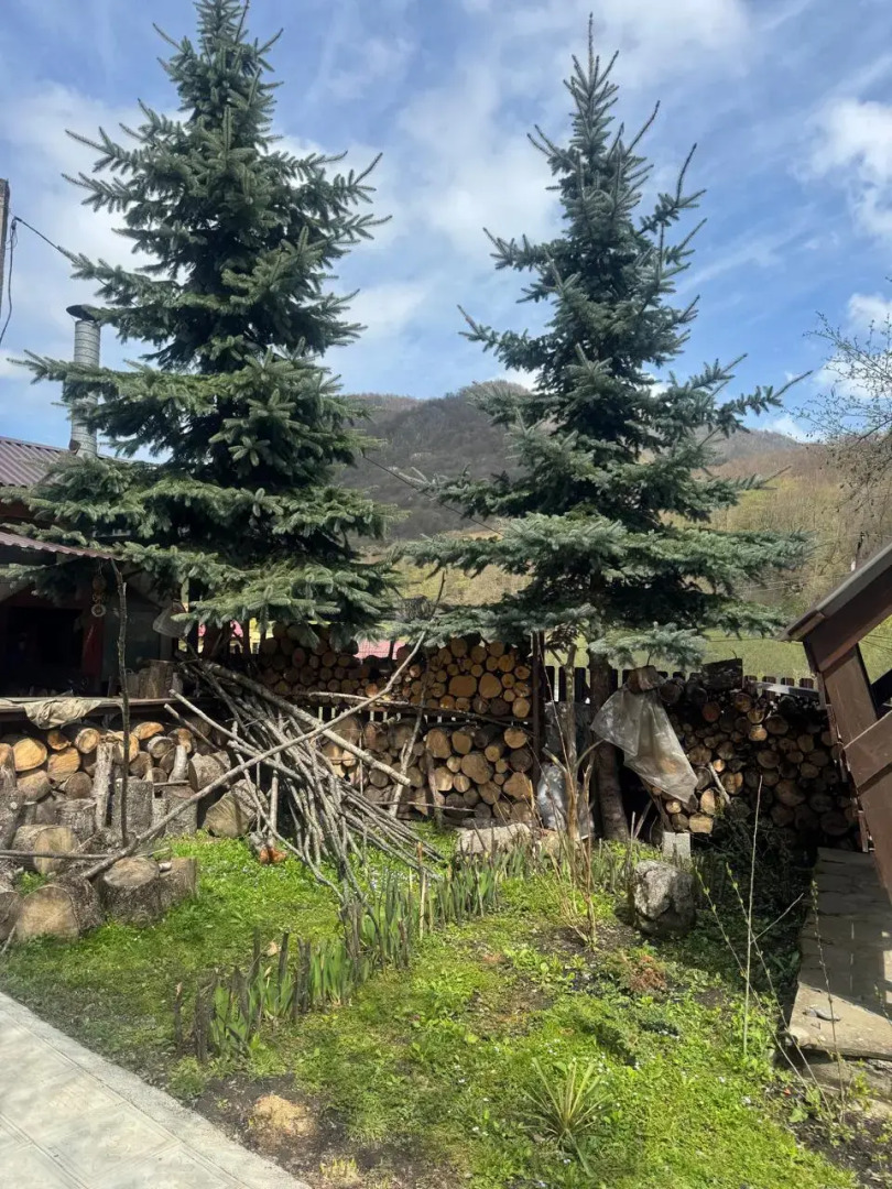 Ночлег и завтрак (B&B) Art&Hur сlub