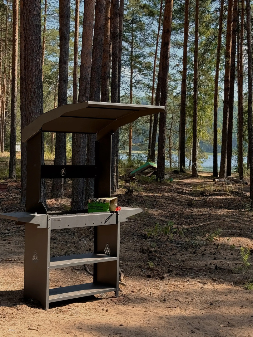 Частный дом Белый и сосны