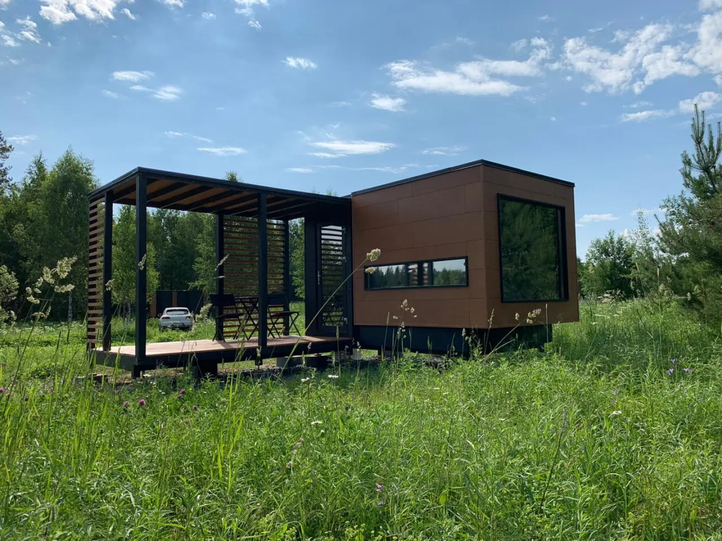 Папоротник