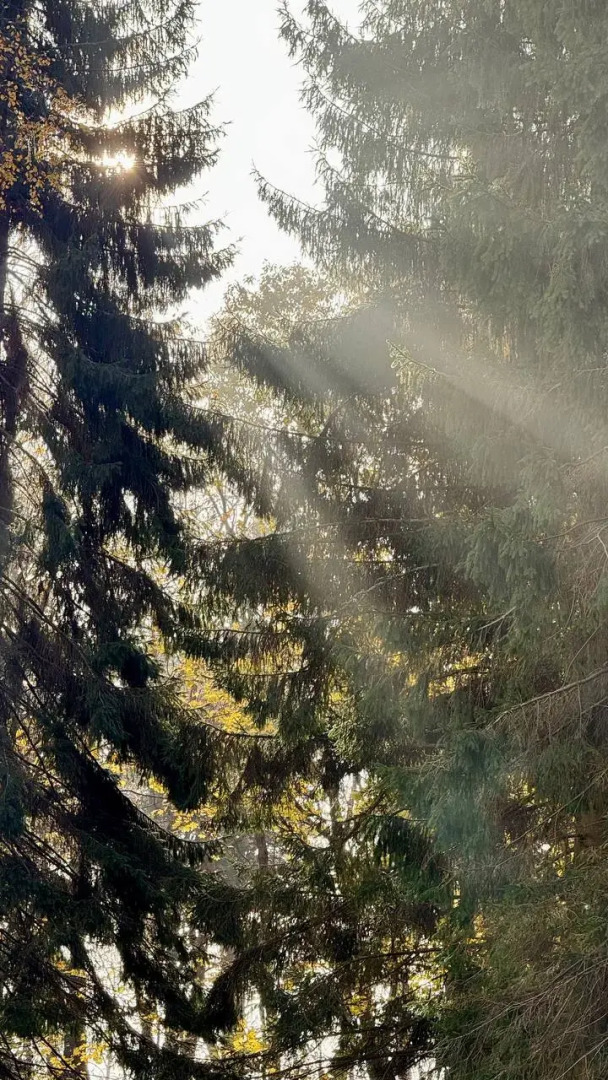 Апартаменты студия у моря 426