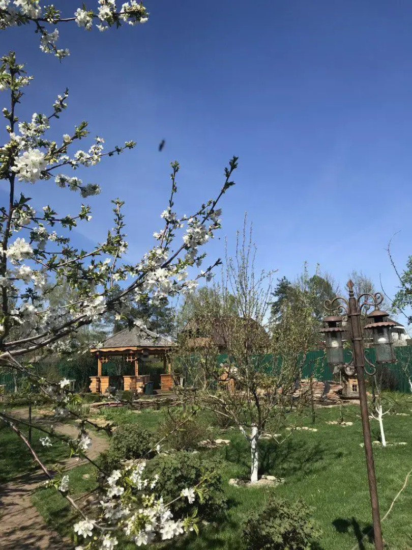 Вилла Lobnya Village