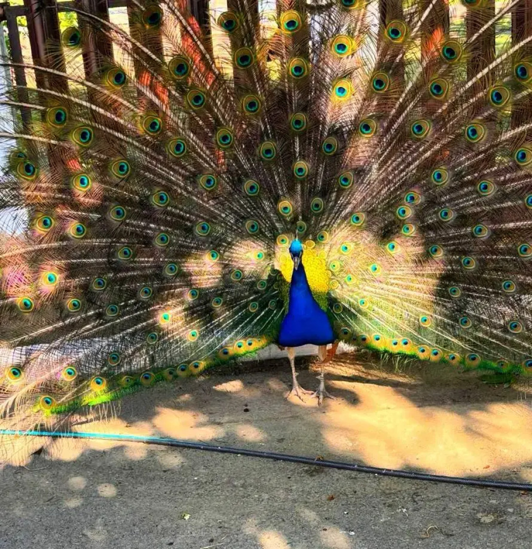 База Отдыха Экопарк Великокняжеский Остров