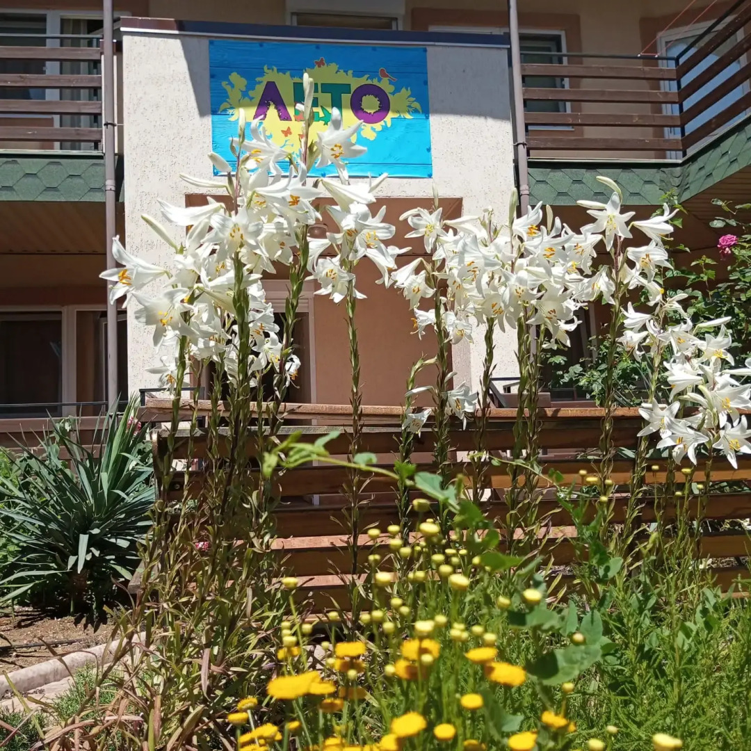 Гостевой дом Лето